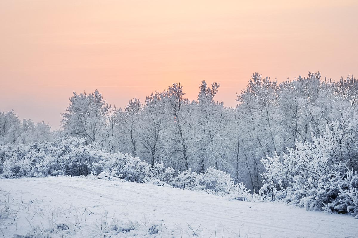 10 palettes de couleurs spéciales Hiver